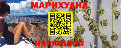 индика Мариинск