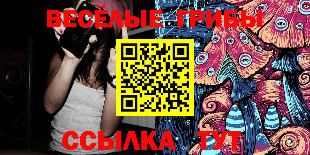 Галлюциногенные грибы Psilocybine cubensis  Вход с VPN  Еманжелинск 